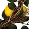 24" Green & Yellow Salal Leaf Lemon Wreath
